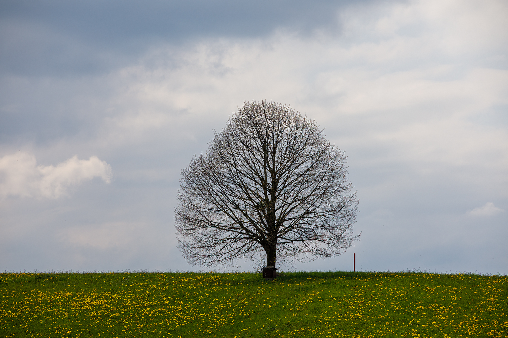 warten auf den Frühling