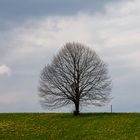 warten auf den Frühling