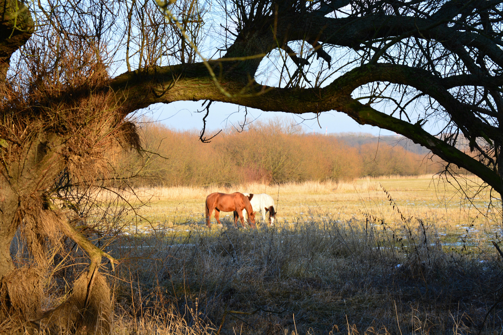 warten auf den Frühling