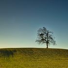 Warten auf den Frühling