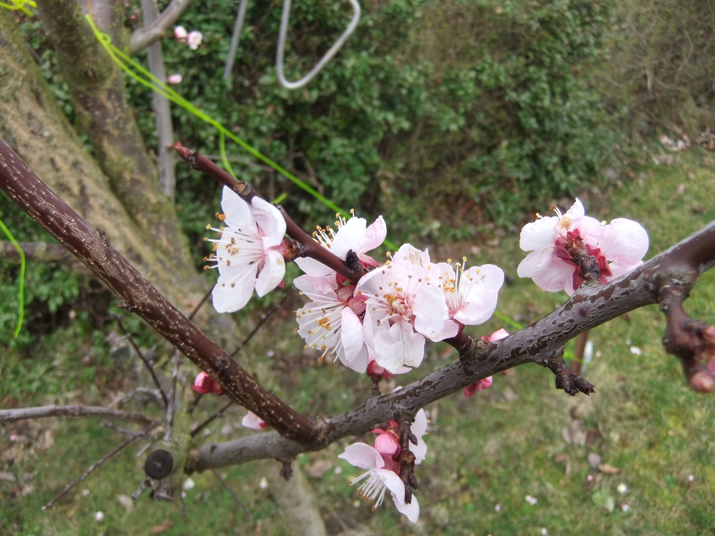 warten auf den Frühling