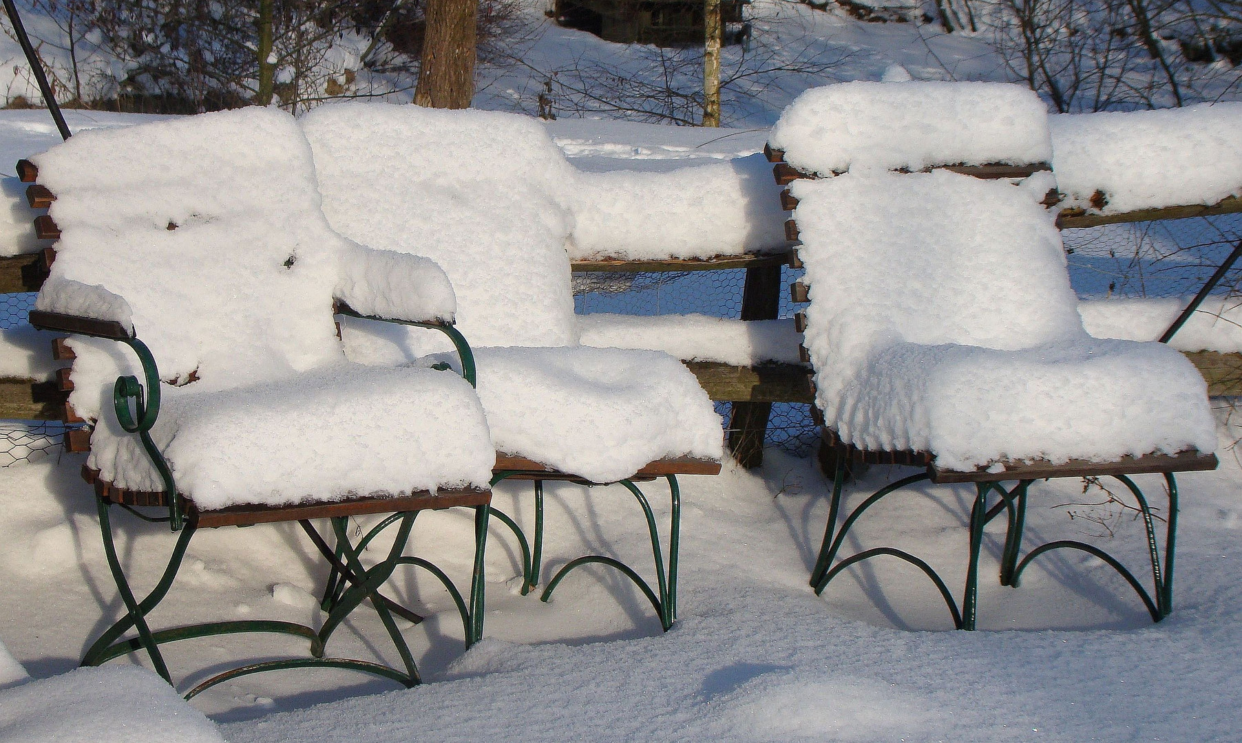 Warten auf den Frühling...