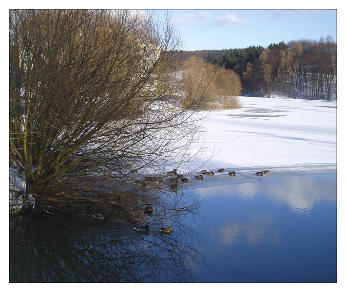 Warten auf den Frühling