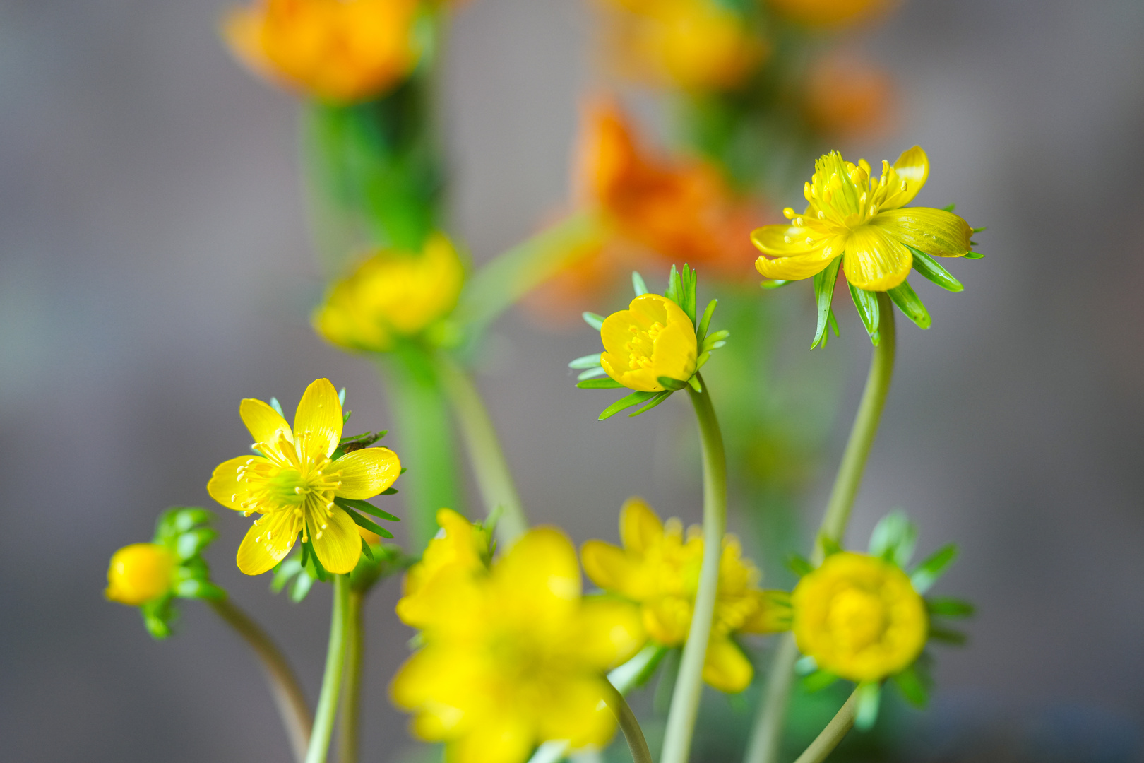 warten auf den Frühling