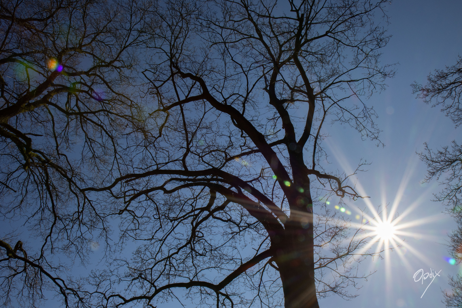 ...warten auf den Frühling