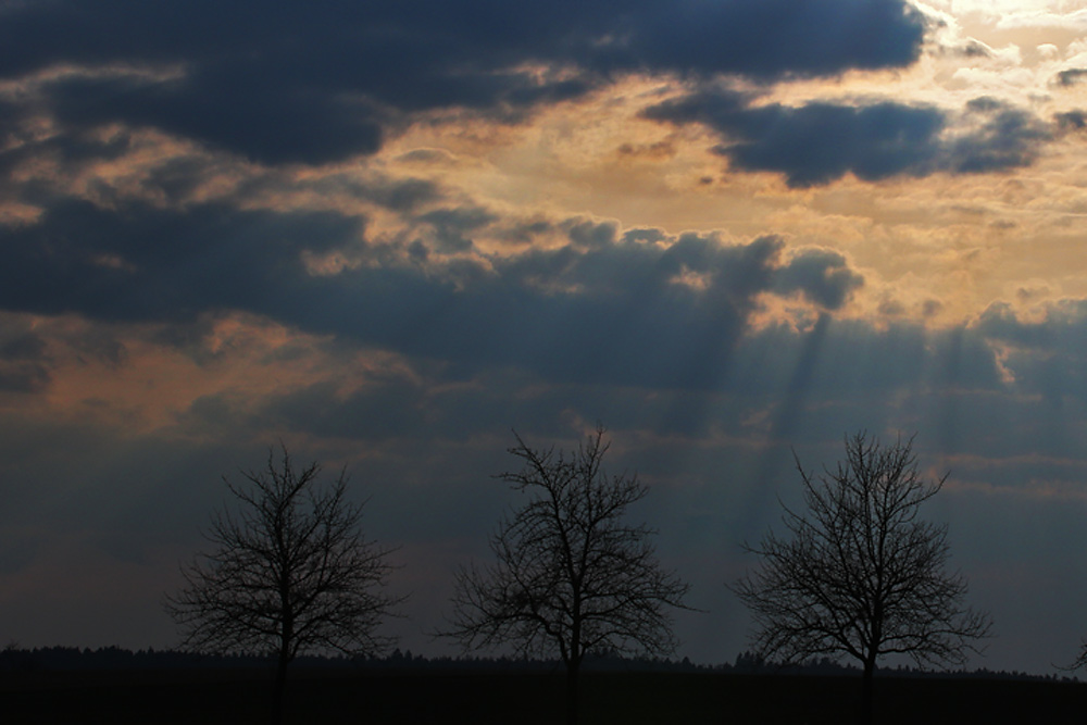 warten auf den Frühling