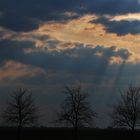 warten auf den Frühling