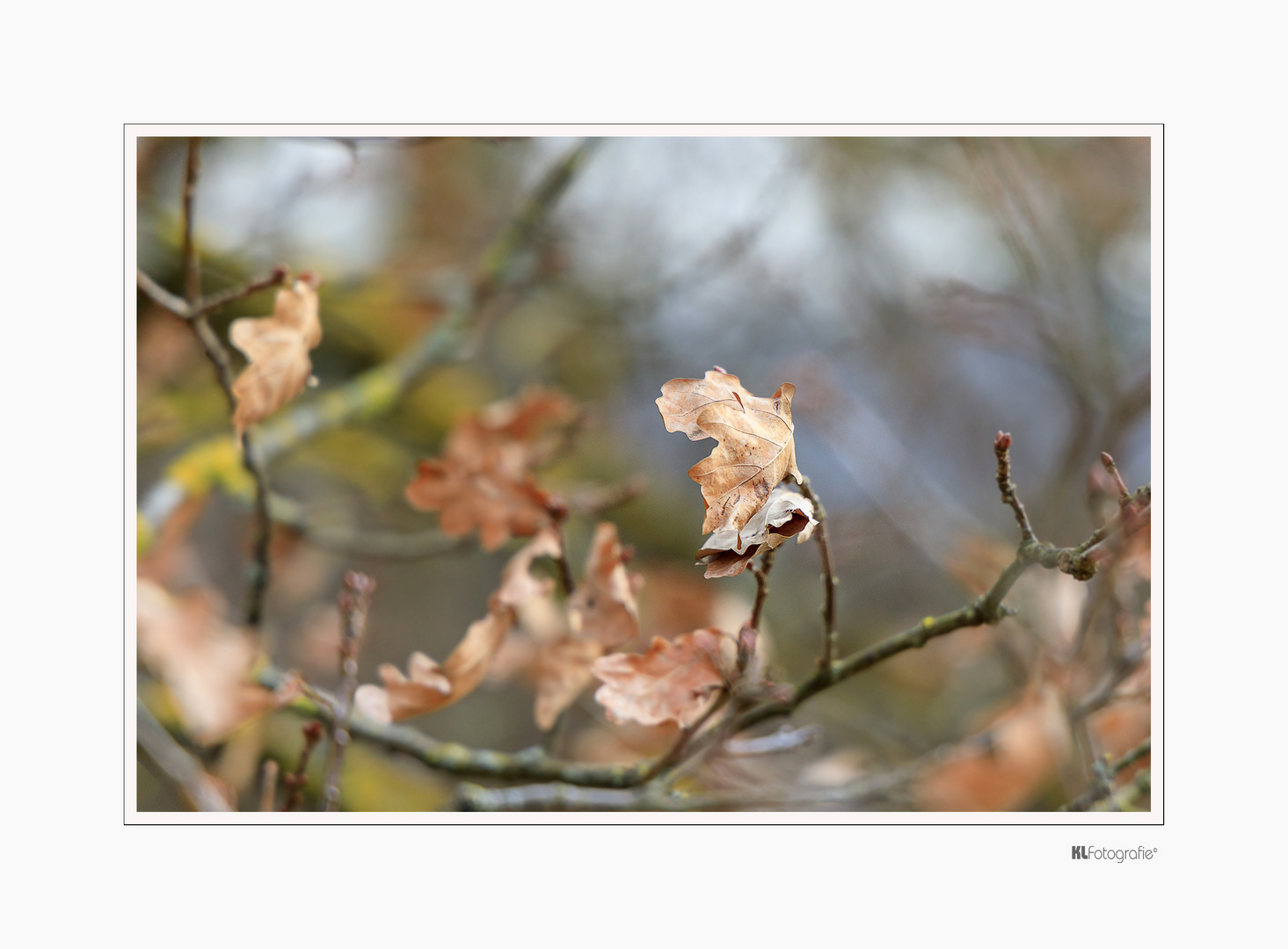 Warten auf den Frühling