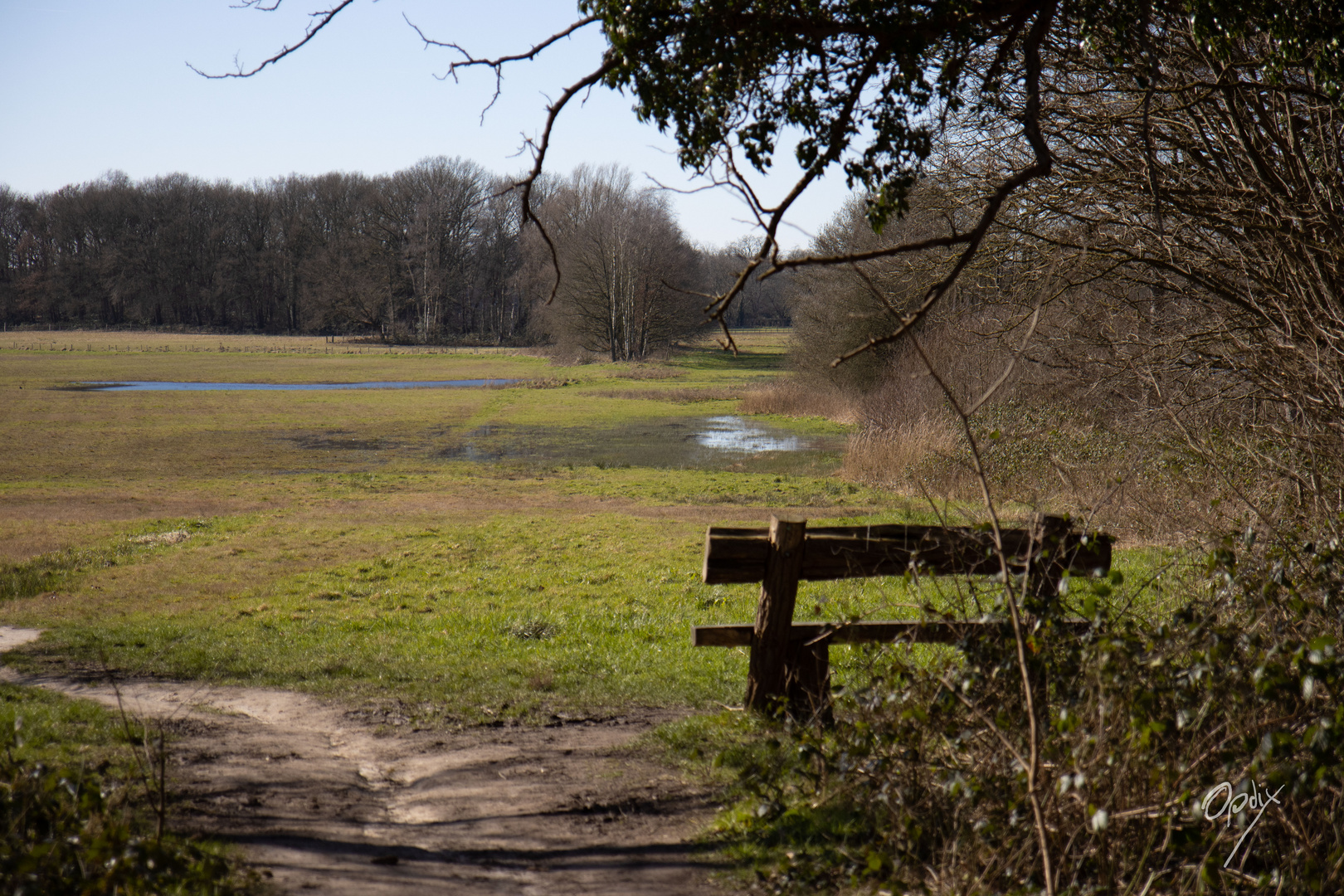 warten auf den Frühling