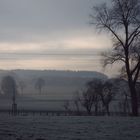 Warten auf den Frühling...