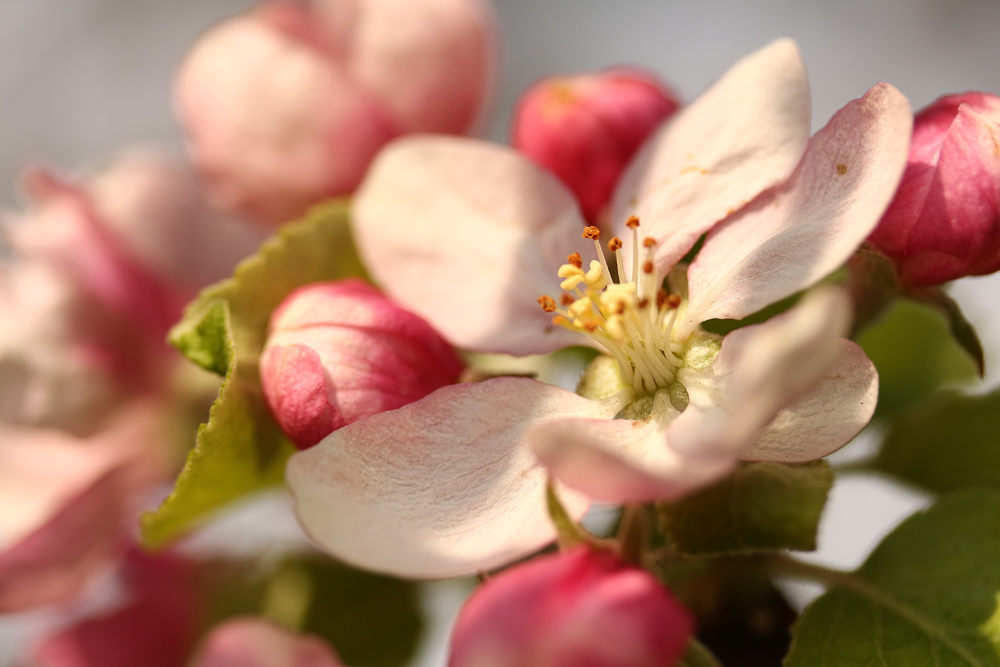 Warten auf den Frühling...