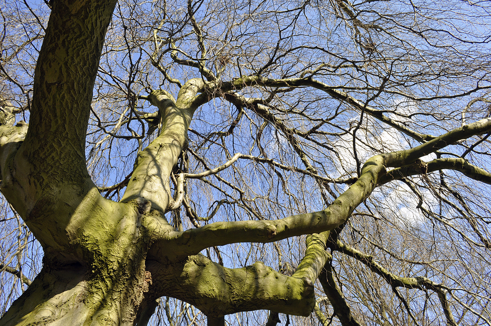 Warten auf den Frühling