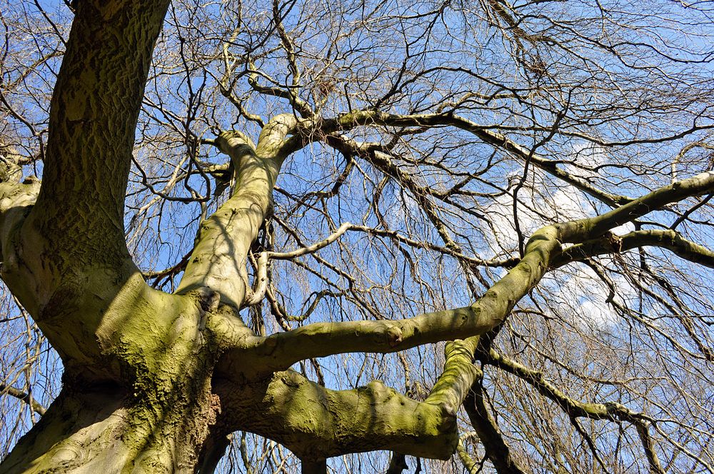 Warten auf den Frühling