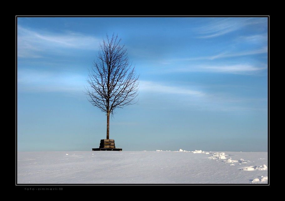 Warten auf den Frühling