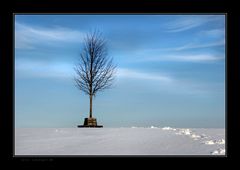 Warten auf den Frühling