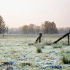 Warten auf den Frühling