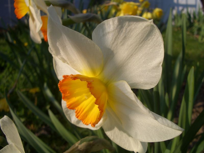 Warten auf den Frühling