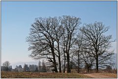 warten auf den Frühling