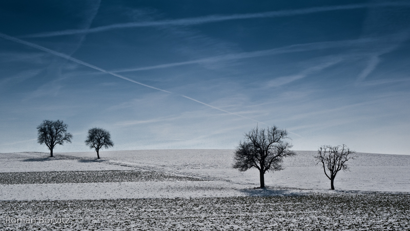 Warten auf den Frühling