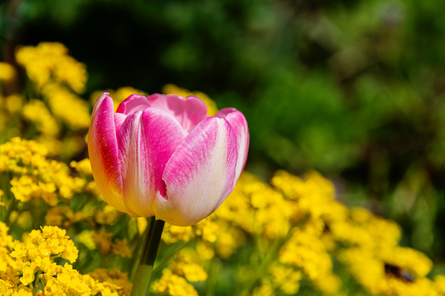 Warten auf den Frühling