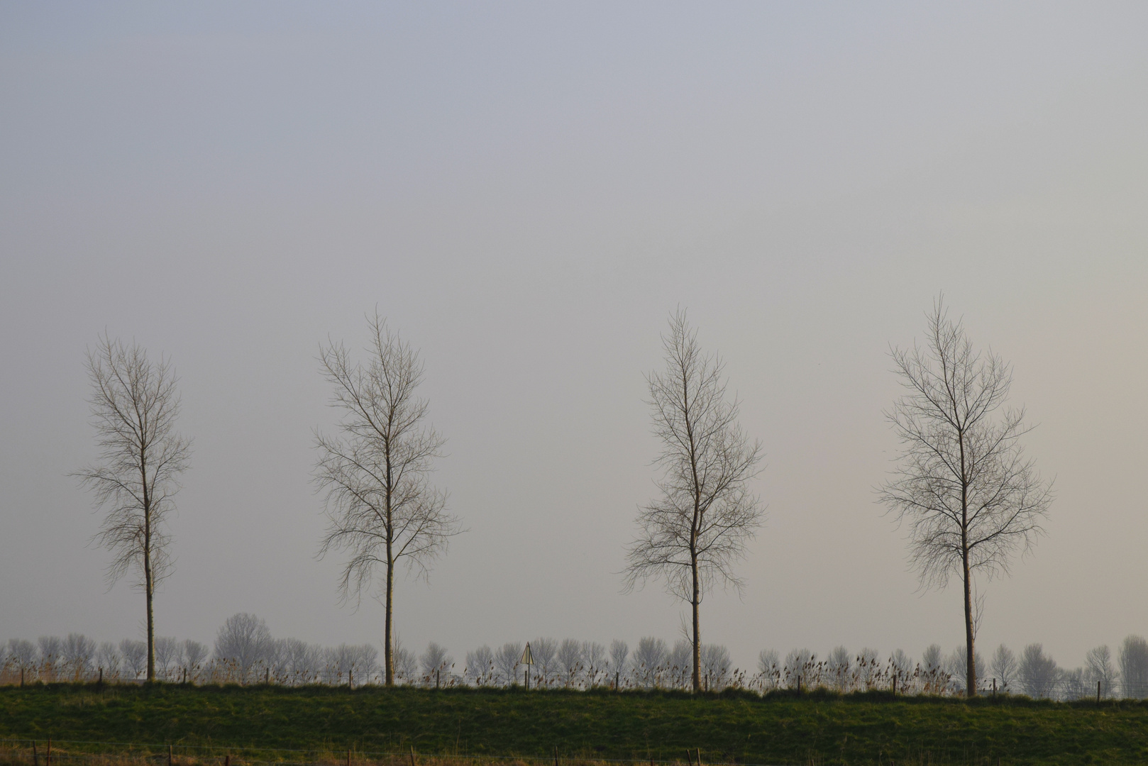 warten auf den Frühling