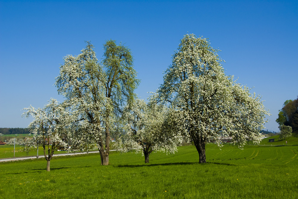 Warten auf den Frühling