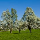 Warten auf den Frühling