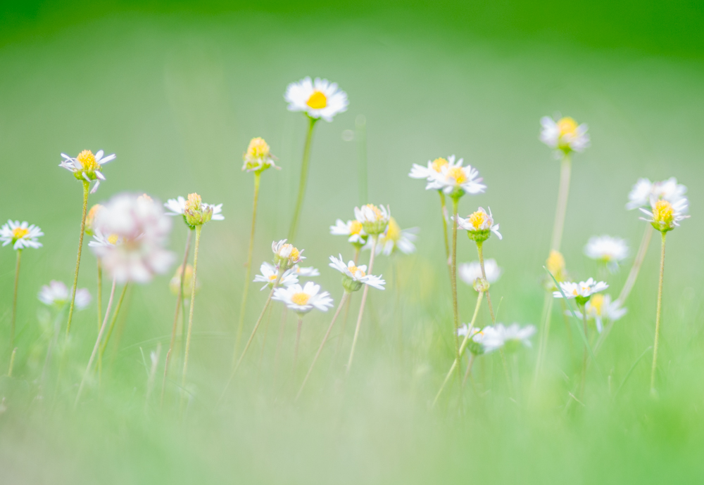 Warten auf den Frühling