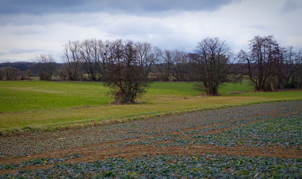 Warten auf den Frühling