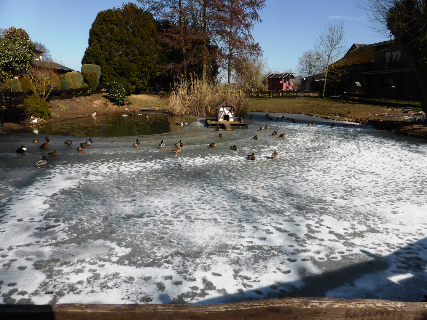 Warten auf den Frühling