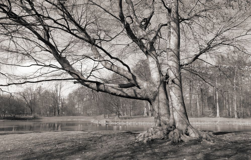 Warten auf den Frühling