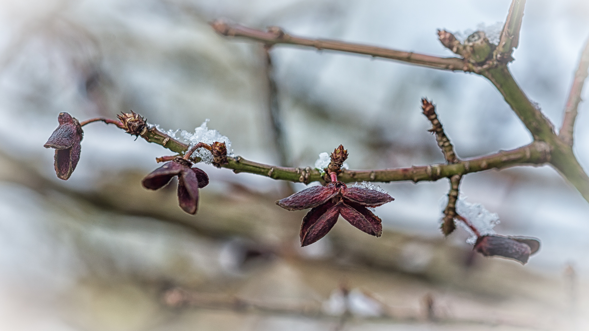 warten auf den Frühling