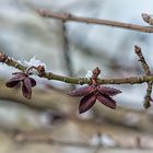 warten auf den Frühling