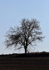 Warten auf den Frühling