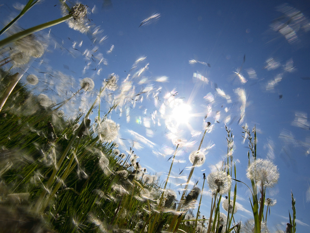 Warten auf den Frühling