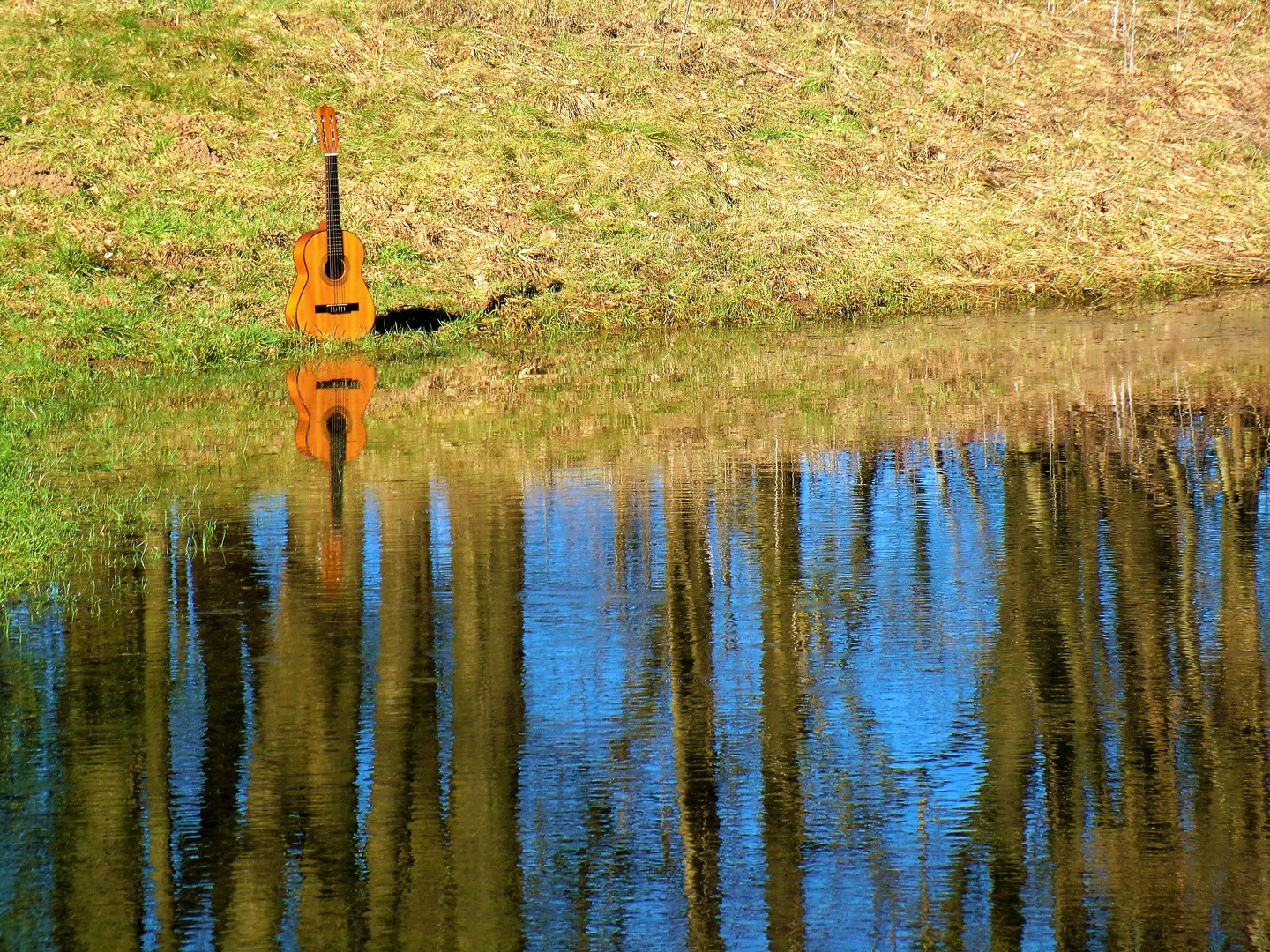 Warten auf den Frühling