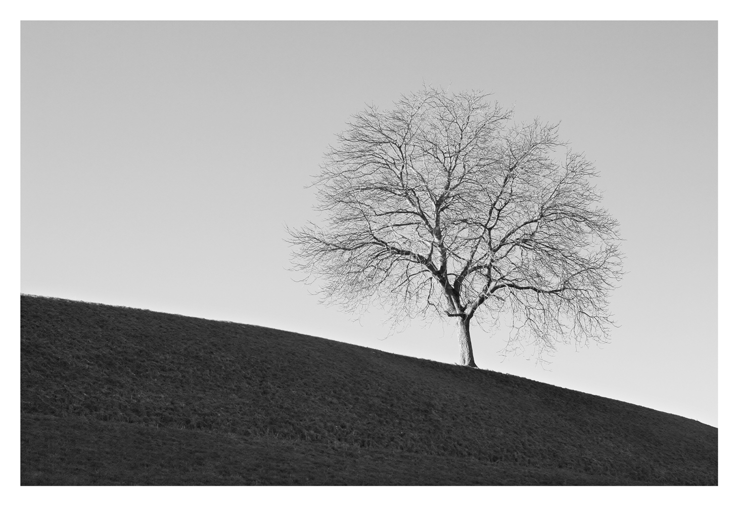 Warten auf den Frühling