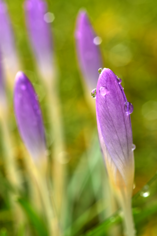 Warten auf den Frühling