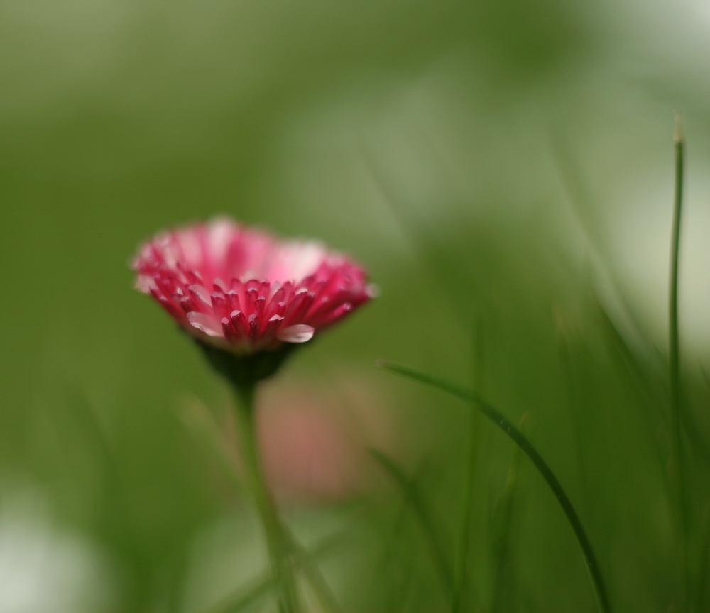 ---warten auf den Frühling---