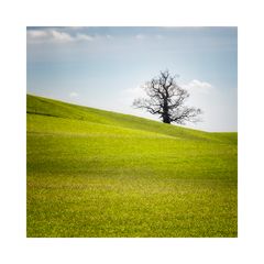 warten auf den Frühling ...