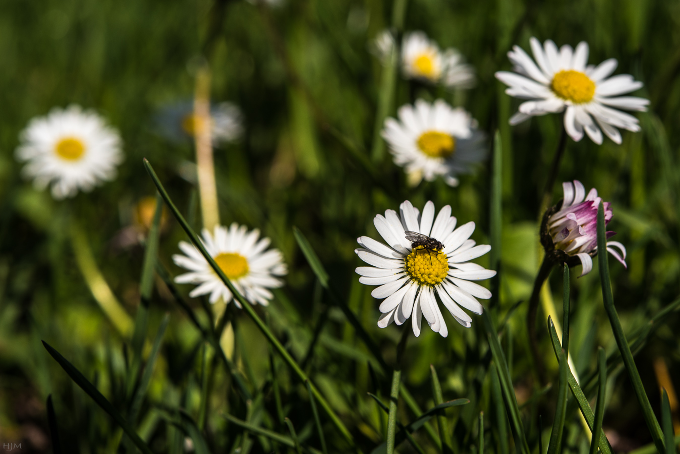 Warten auf den Frühling