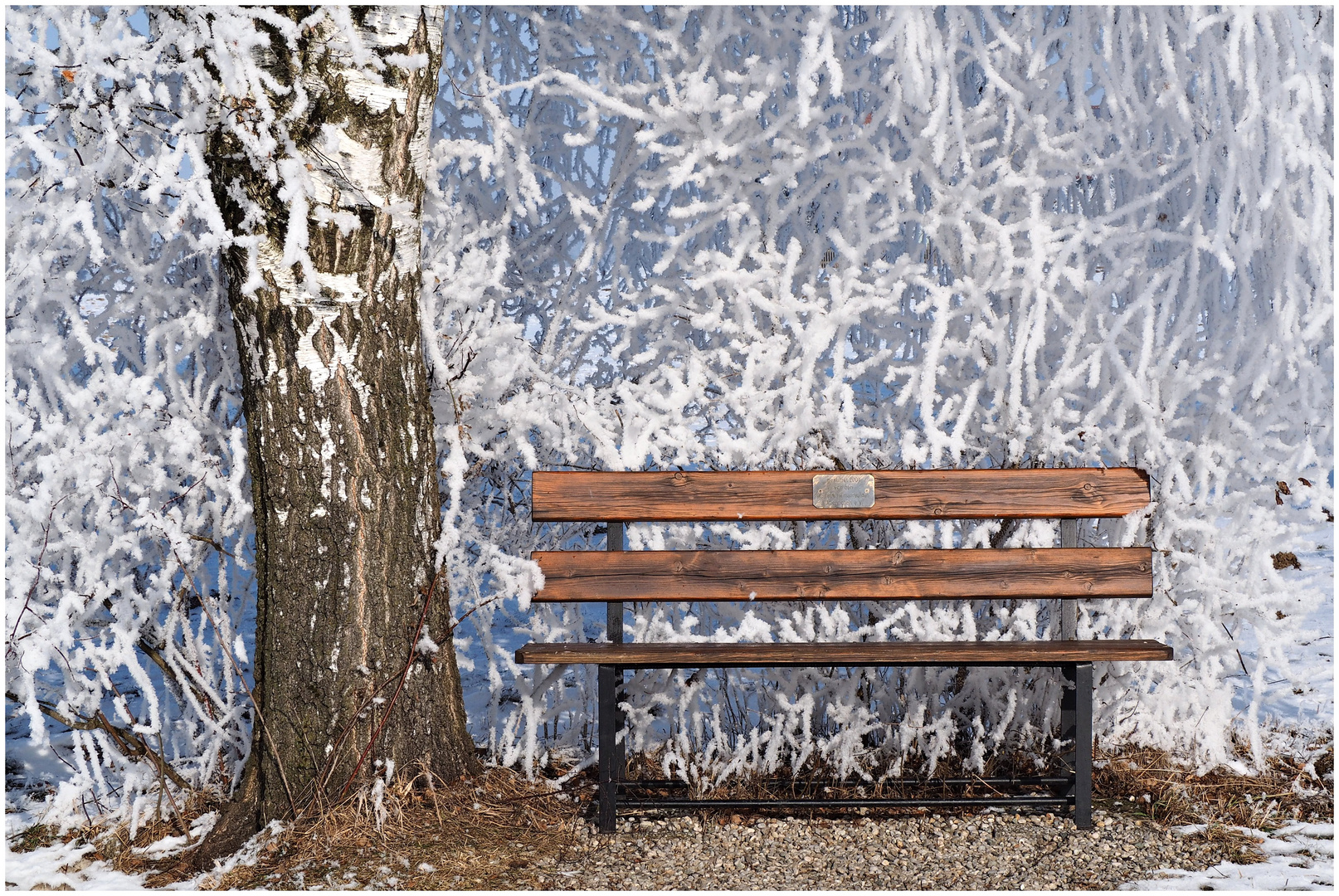 Warten auf den Frühling bei -14°