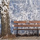 Warten auf den Frühling bei -14°