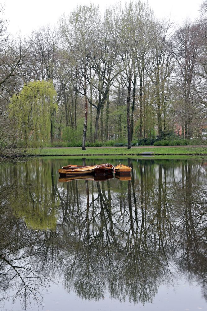 Warten auf den Frühling, Bürgerpark Bremen