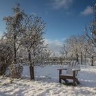 Warten auf den Frühling