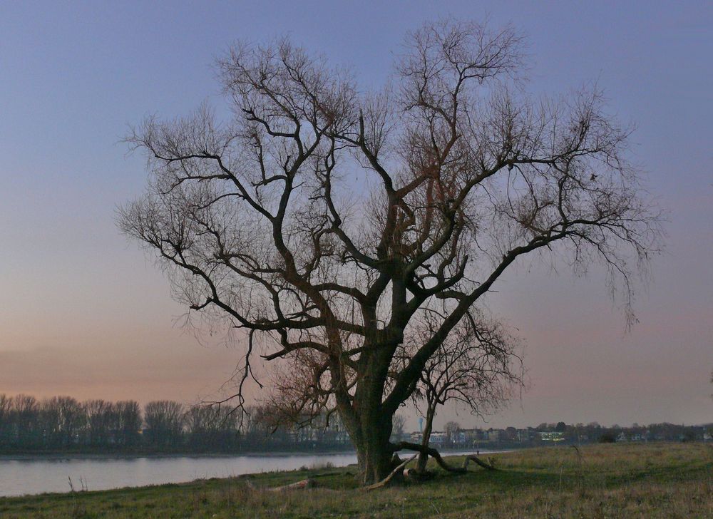 Warten auf den Frühling