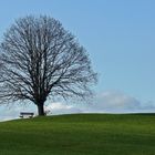 Warten auf den Frühling