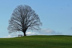 Warten auf den Frühling