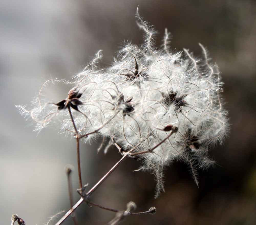 warten auf den Frühling