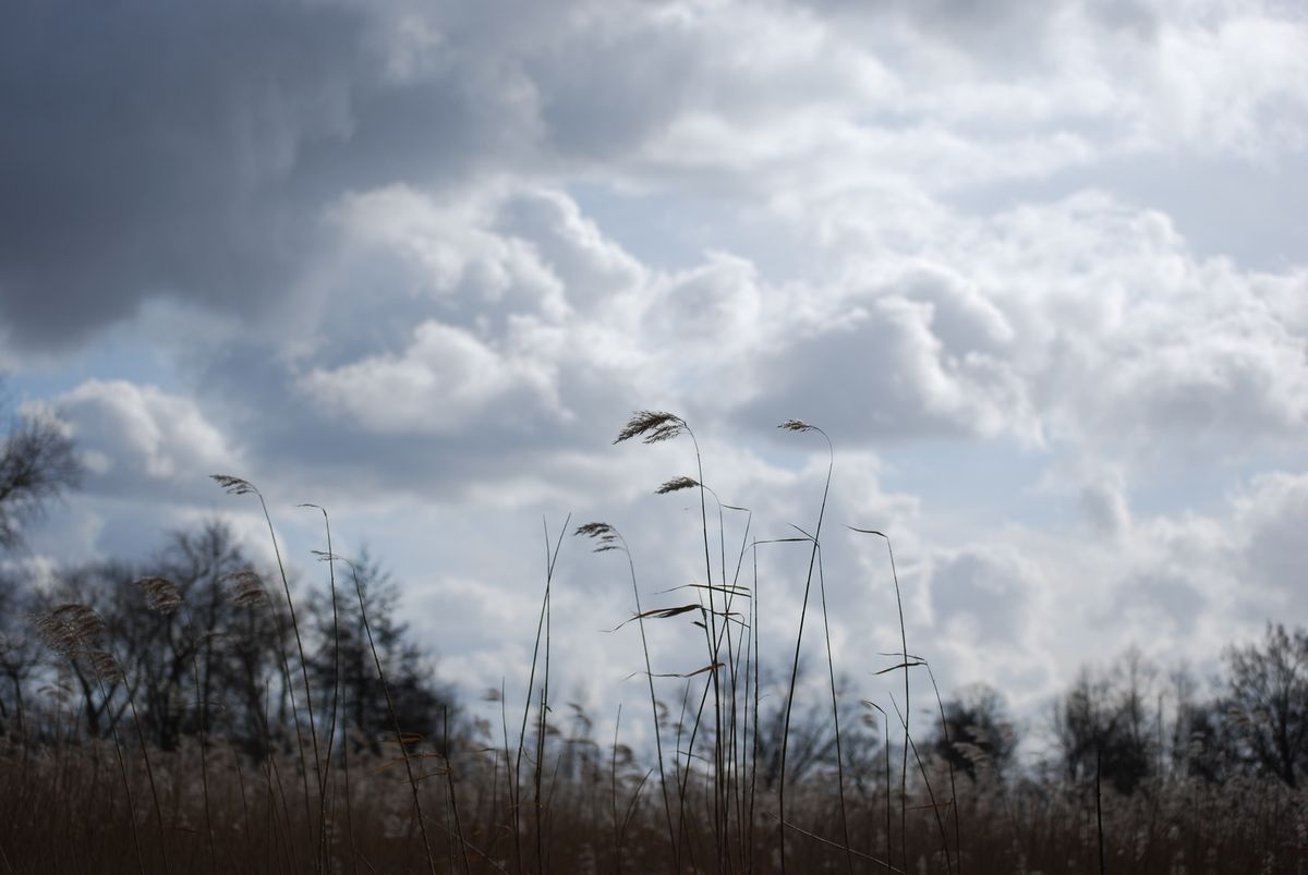 warten auf den Frühling